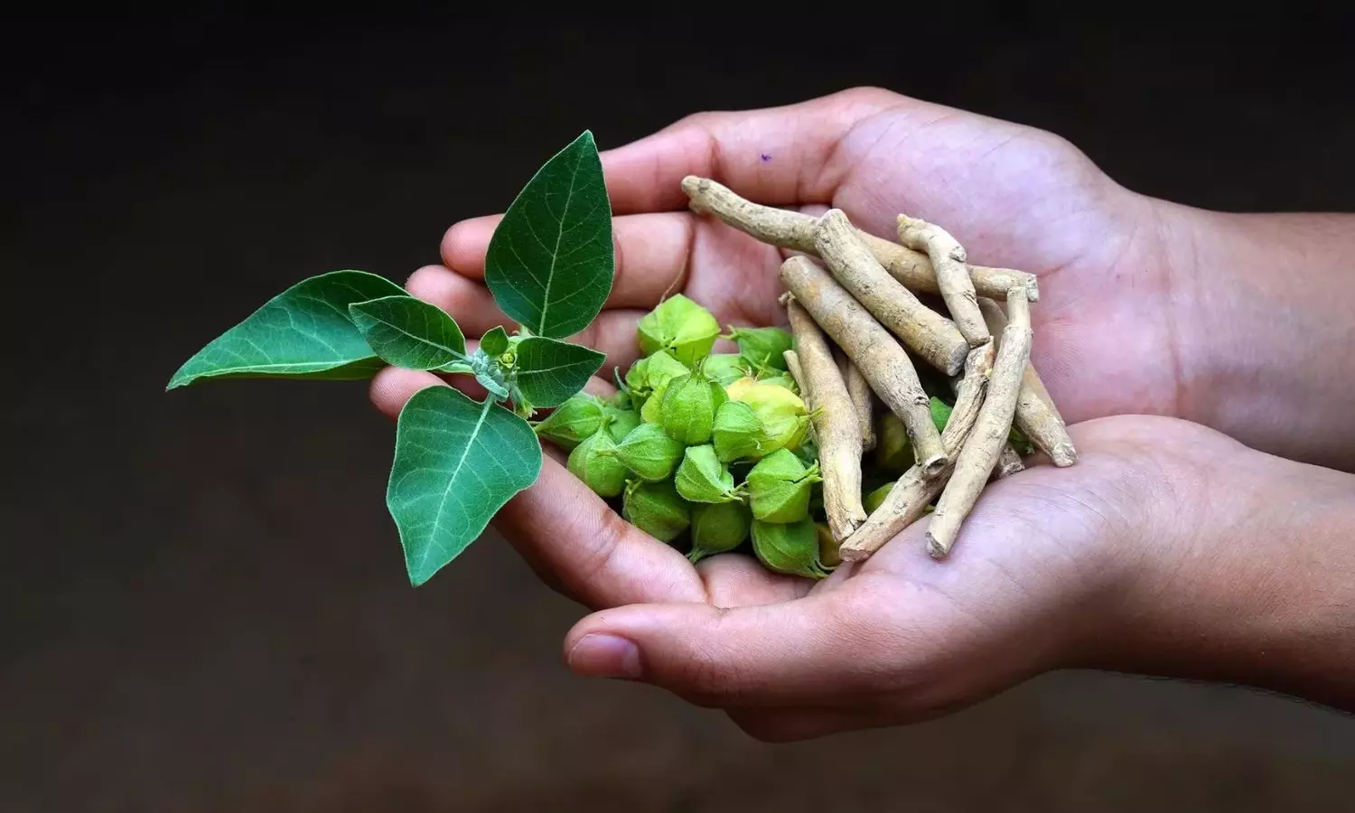 Ashwagandha