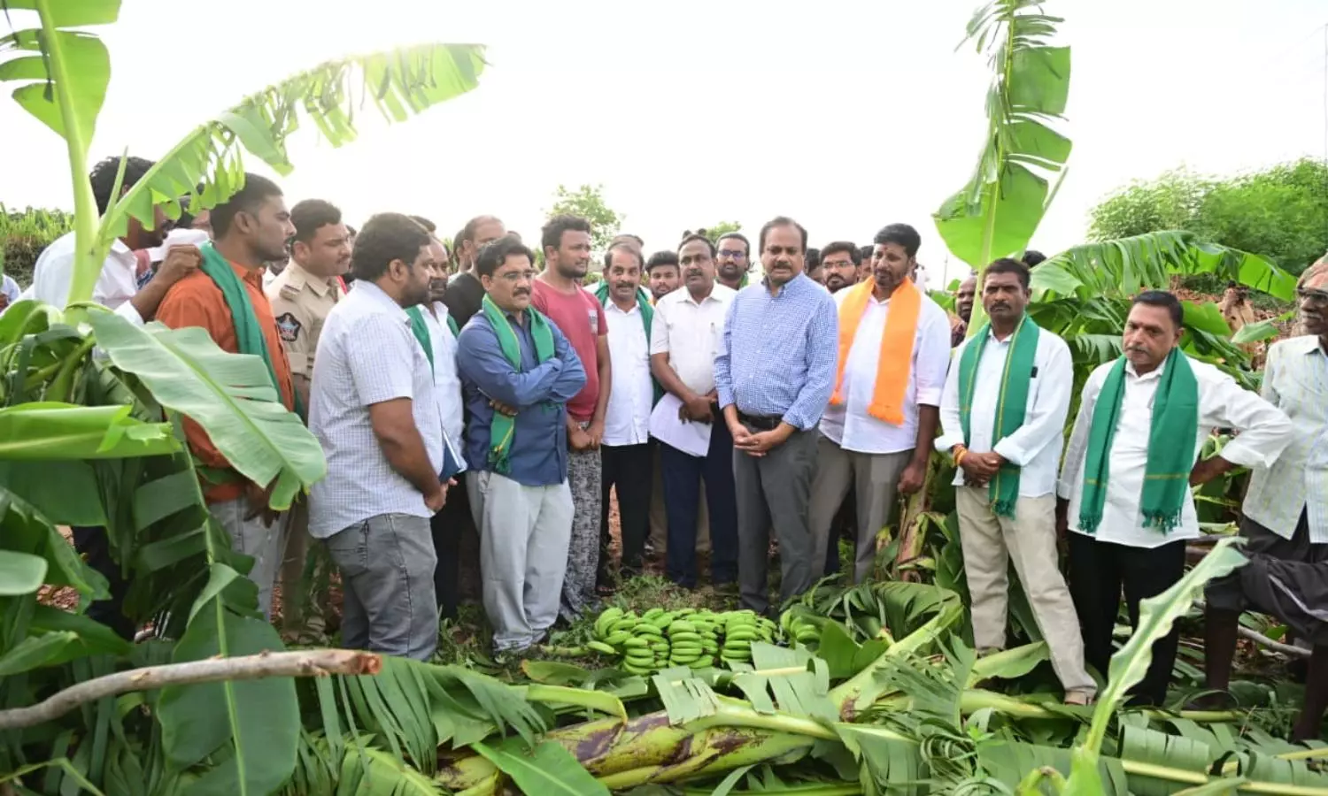 Kadapa