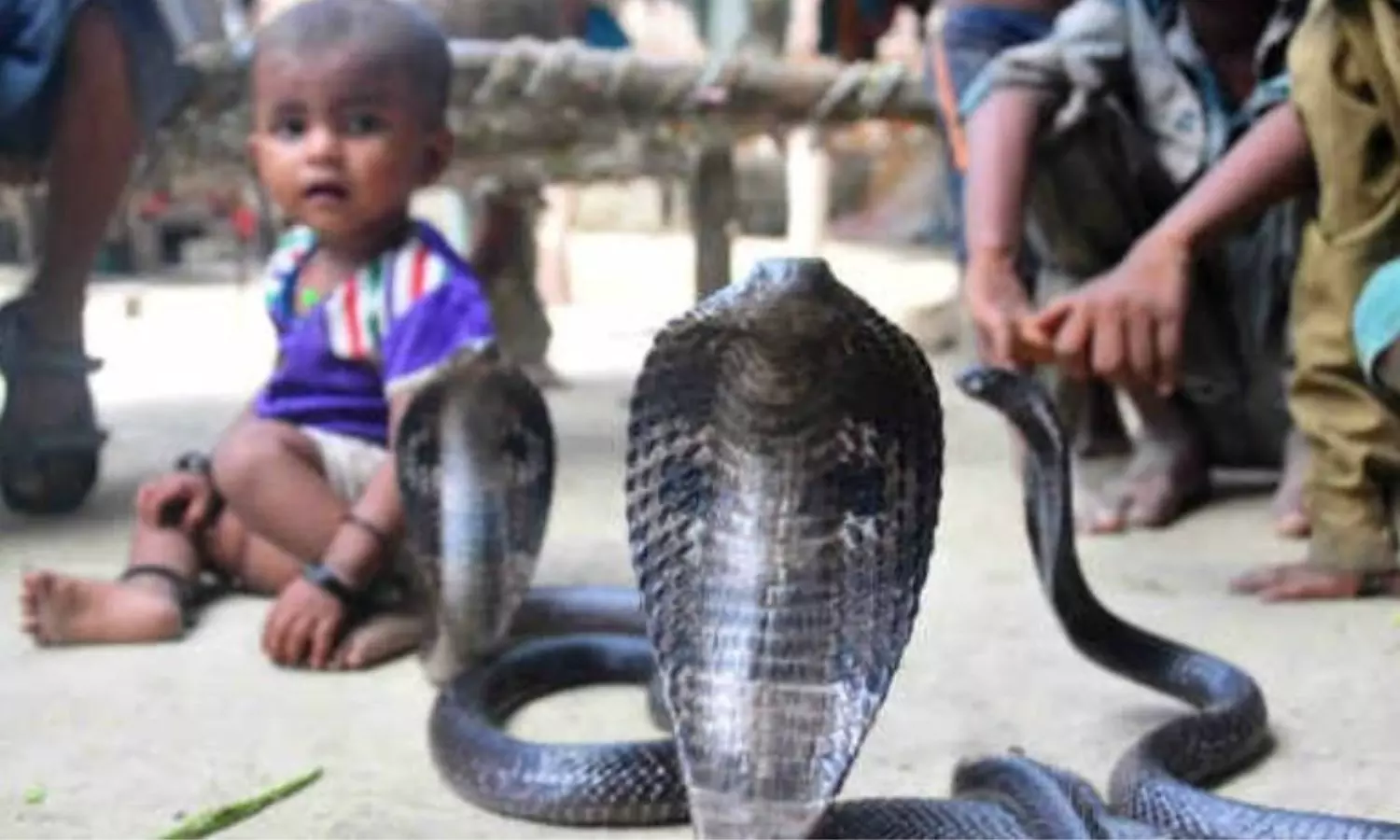 Snake Village