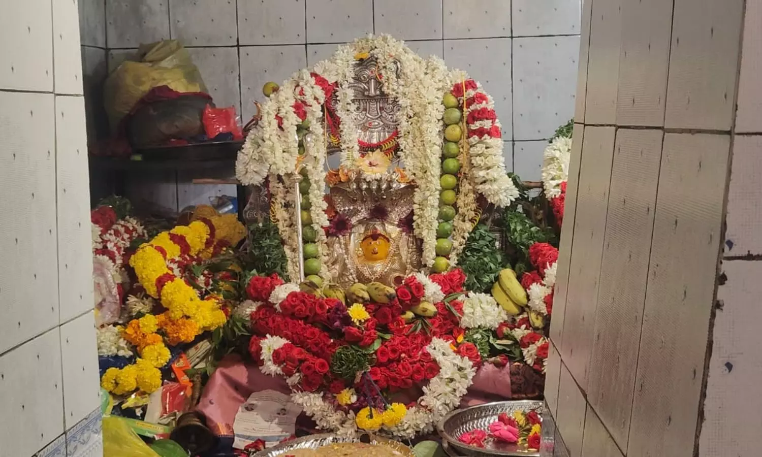Nellore Nellore