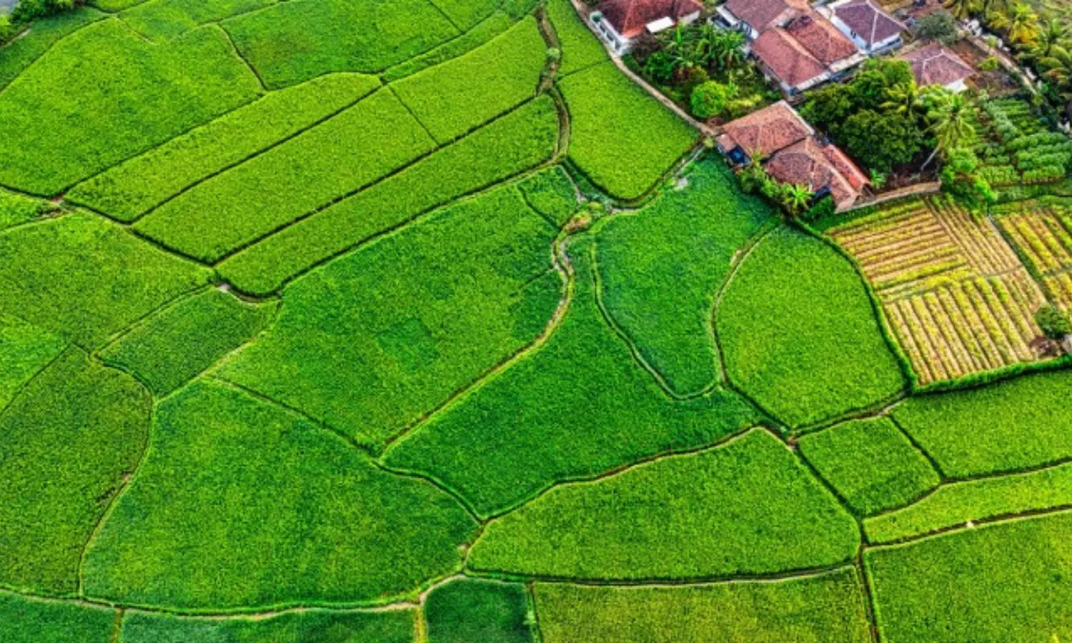 Buying Open Plots