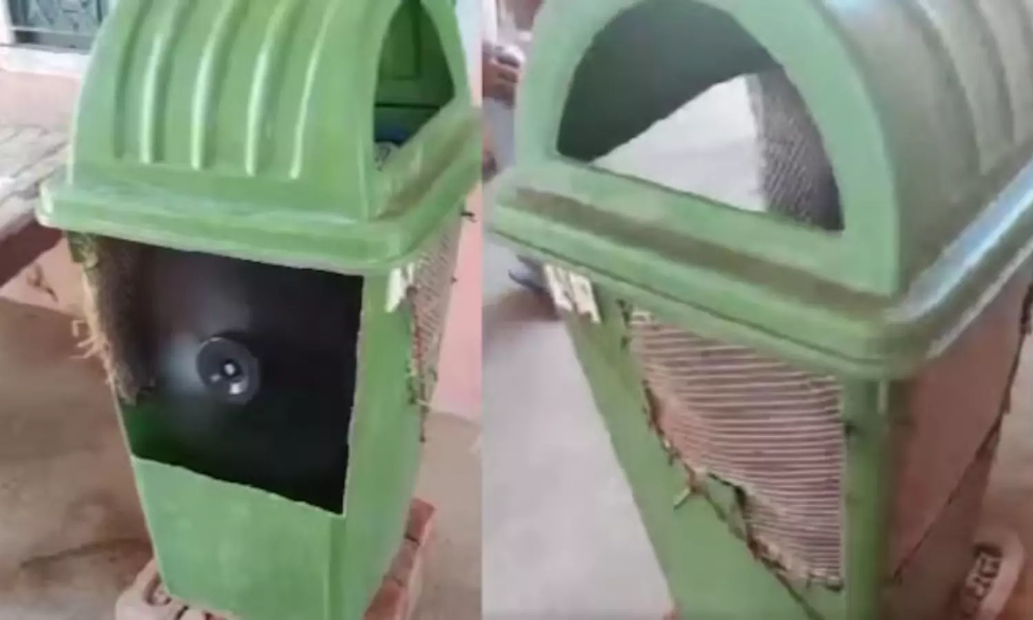 Viral Video Viral Video
