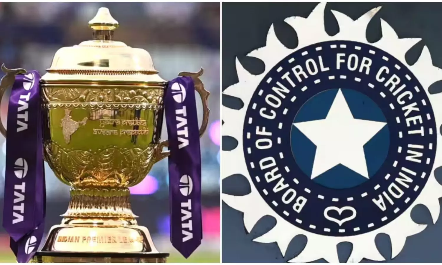 BCCI Profit