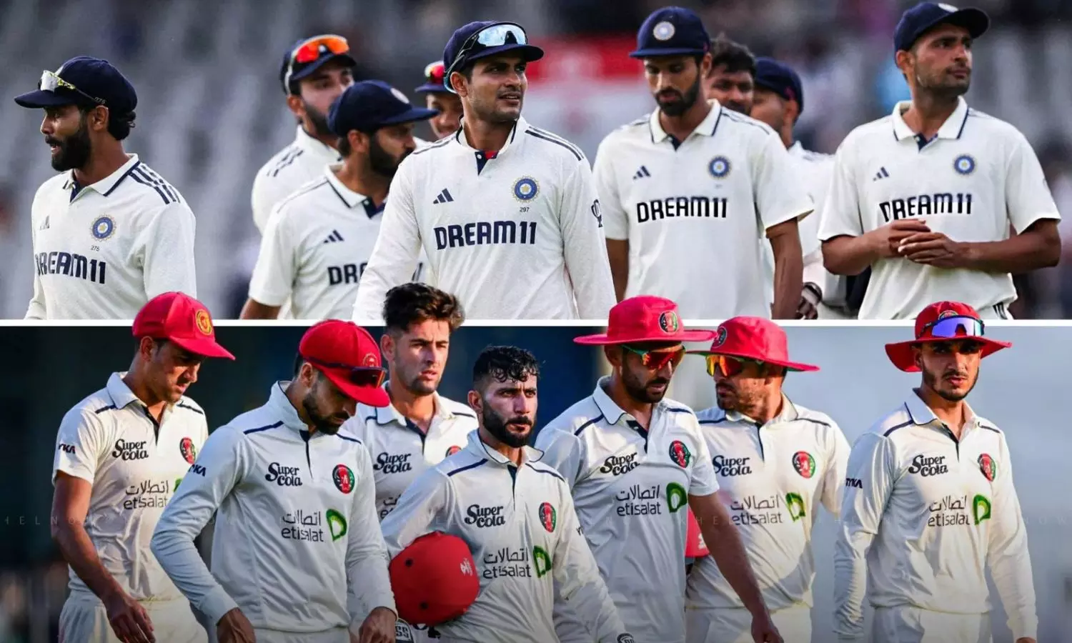 IND vs AFG
