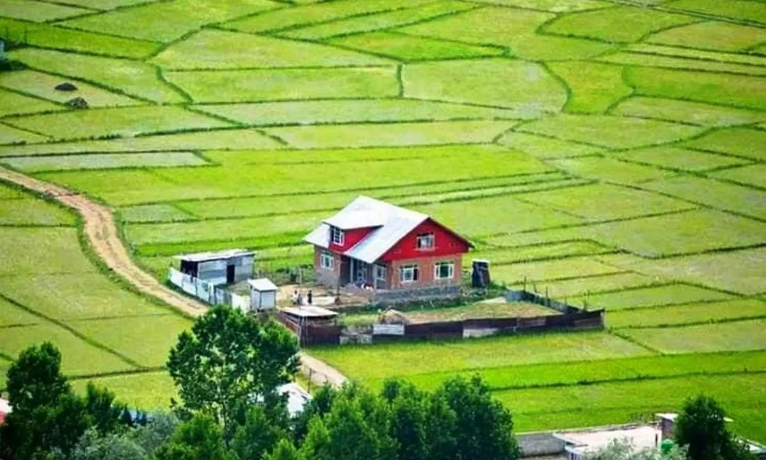 Agricultural Land
