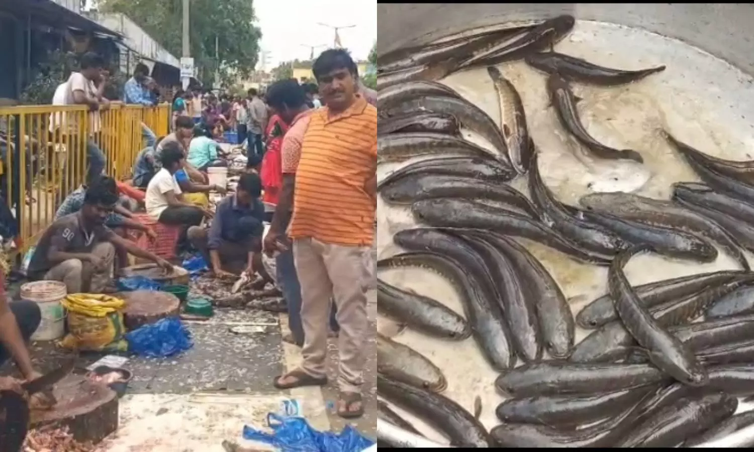 Narsapur