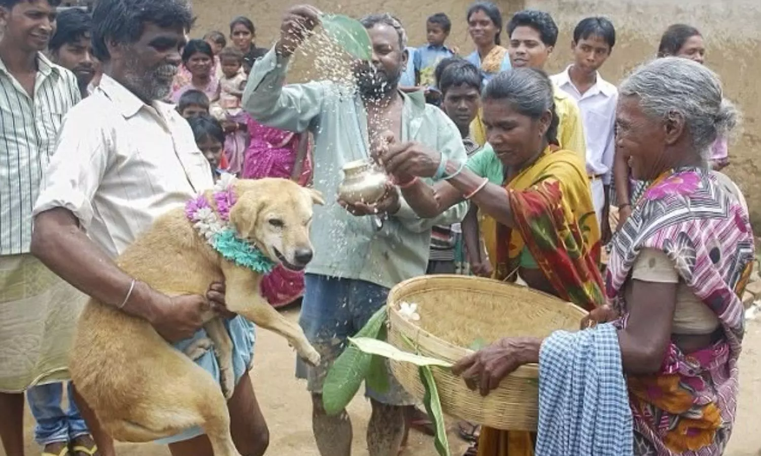 Viral: ఇదేం వింత మావ.! ఆ ఊరిలో కుక్కతో పిల్లలకు పెళ్లి చేస్తారట.! ఎందుకంటే.? Viral: ఇదేం వింత మావ.! ఆ ఊరిలో కుక్కతో పిల్లలకు పెళ్లి చేస్తారట.! ఎందుకంటే.?