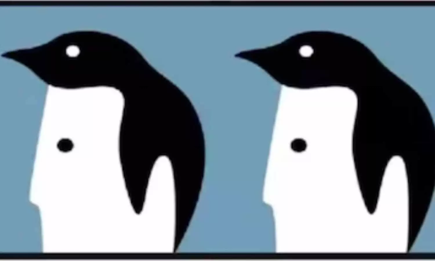 Optical Illusion Personality Test: Did You See a Penguin or a Human Face First Optical Illusion Personality Test: Did You See a Penguin or a Human Face First