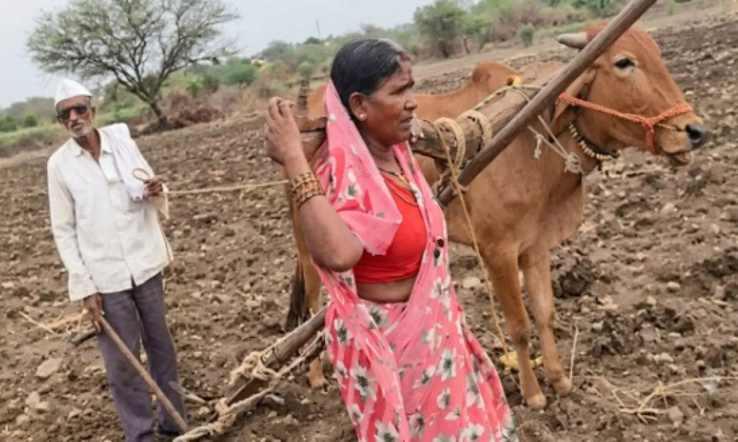Farmer Wife Farmer Wife