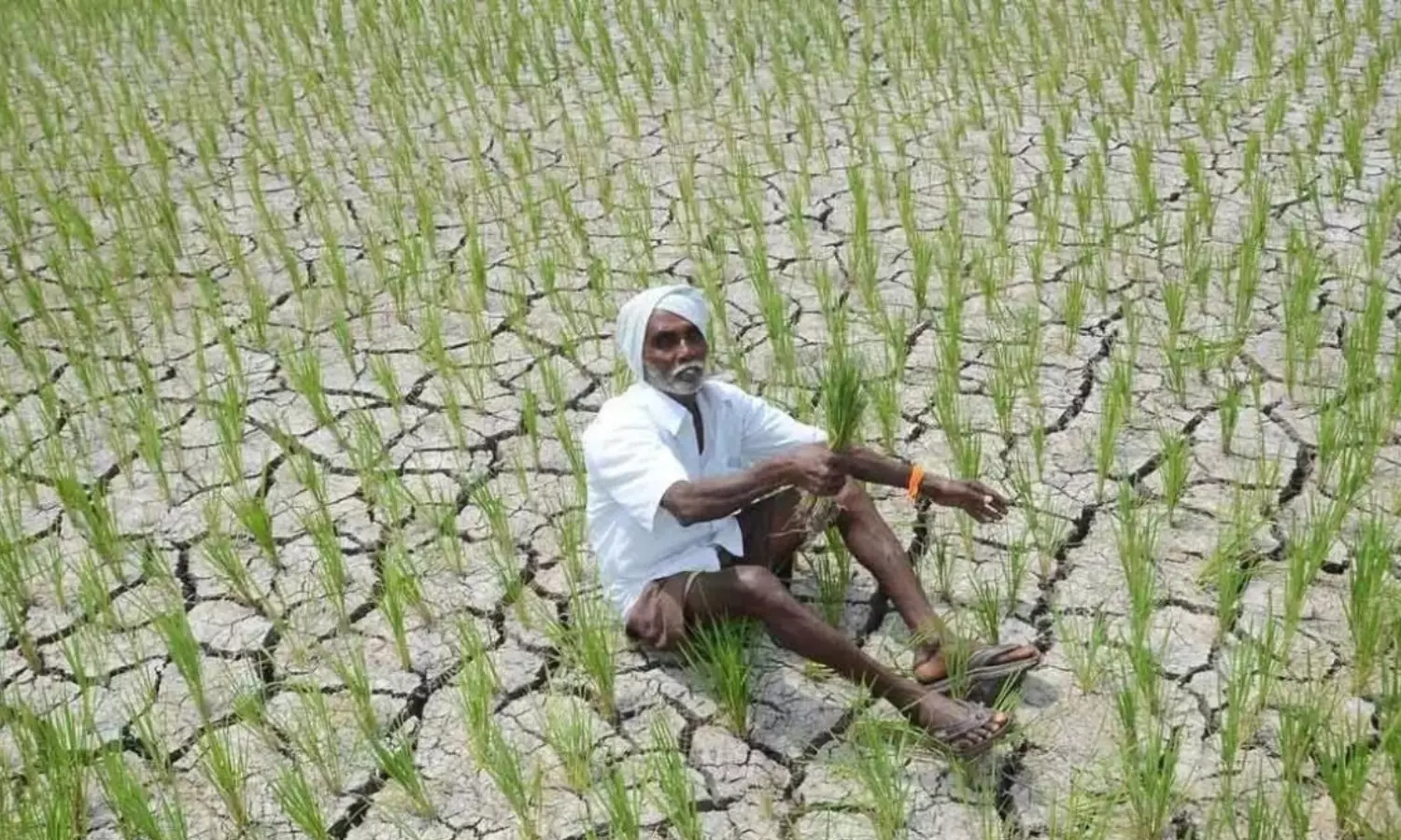 ElNino Alert ElNino Alert