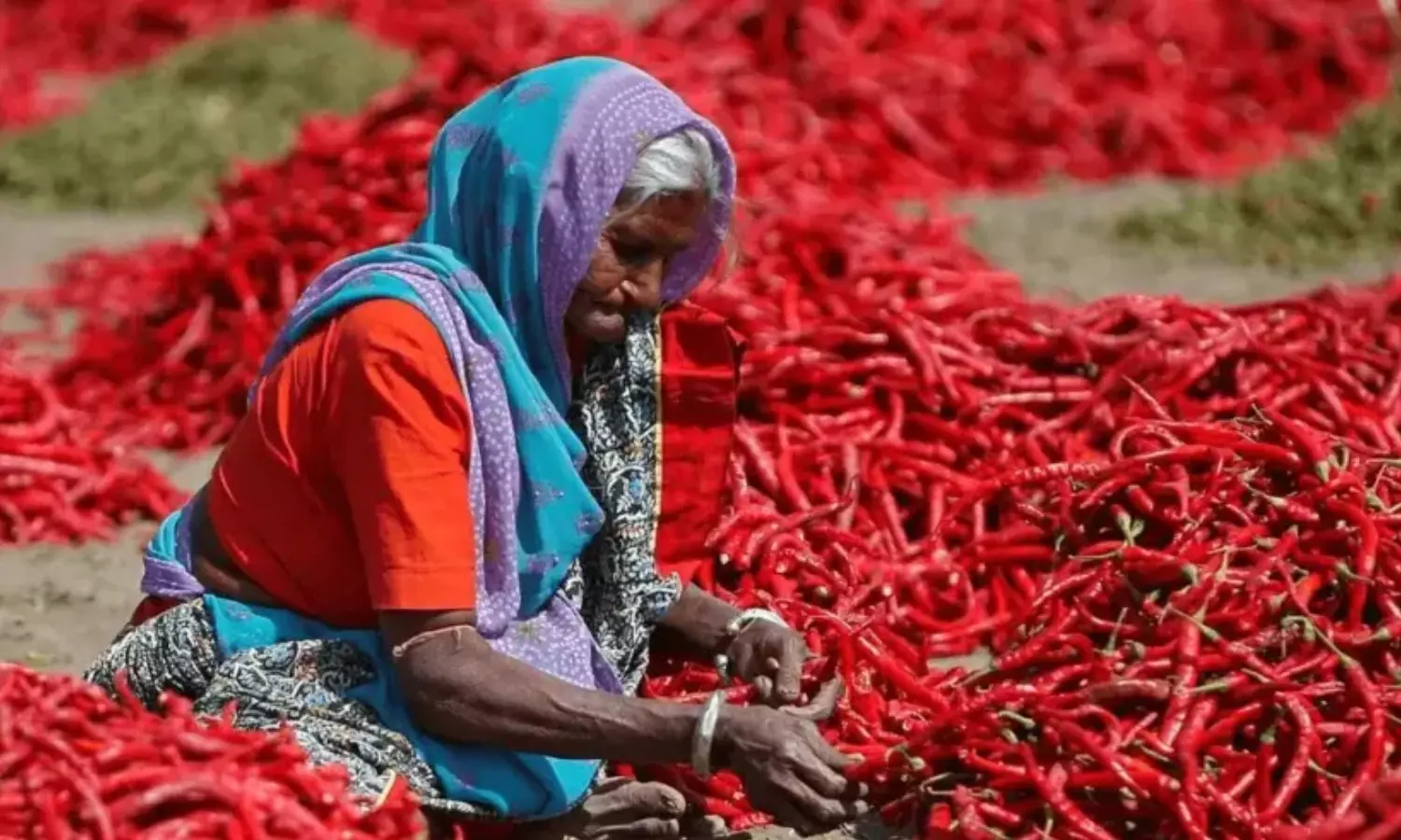 Red Chilli