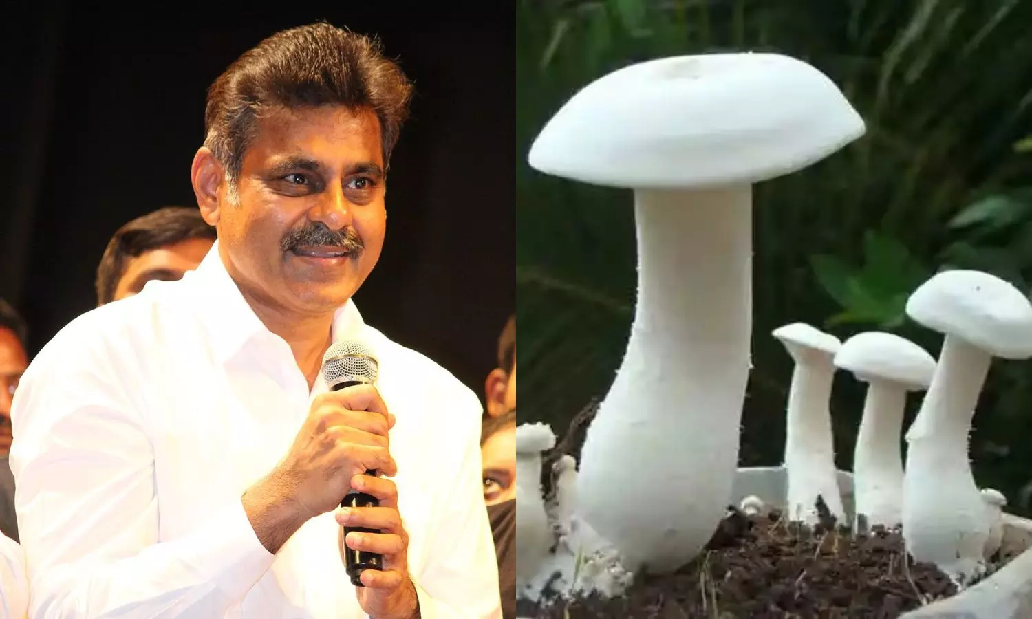 MP Vishweshwar