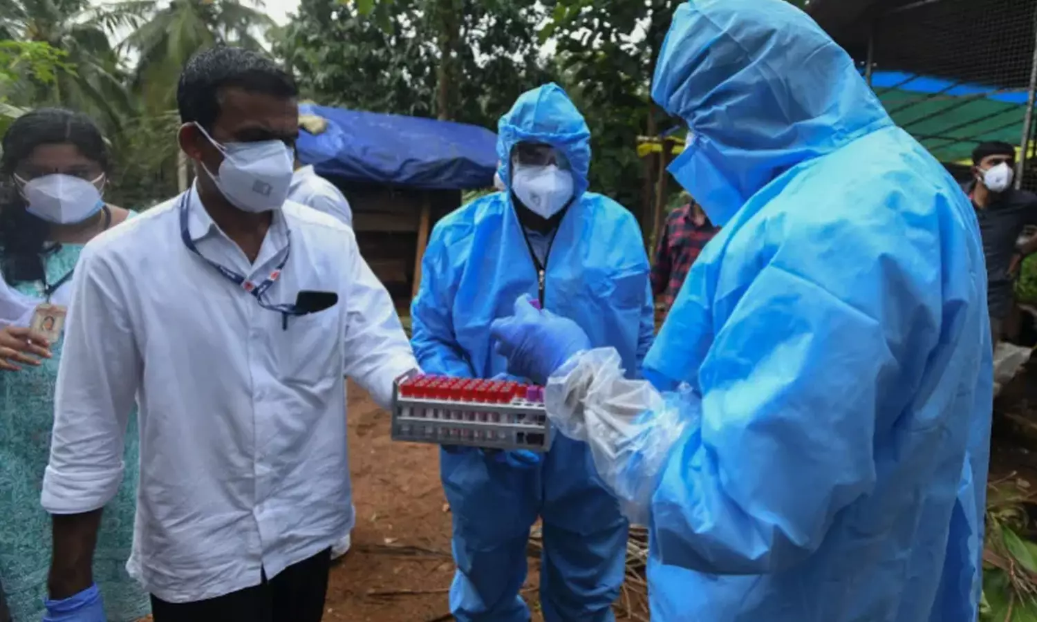 Nipah-Virus Nipah-Virus