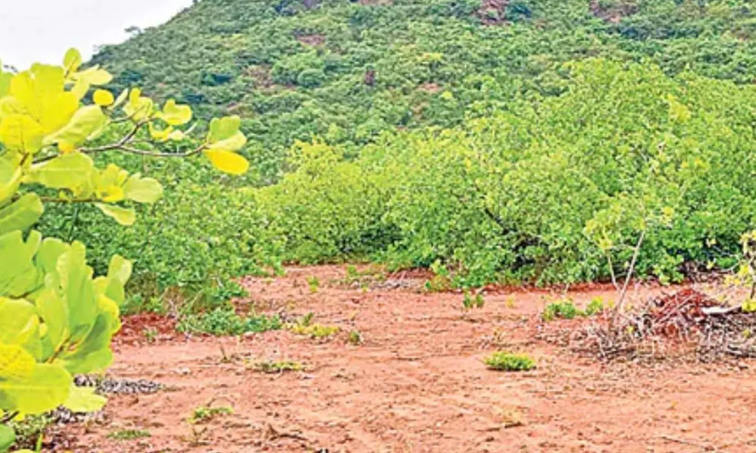 Visakhapatnam Visakhapatnam