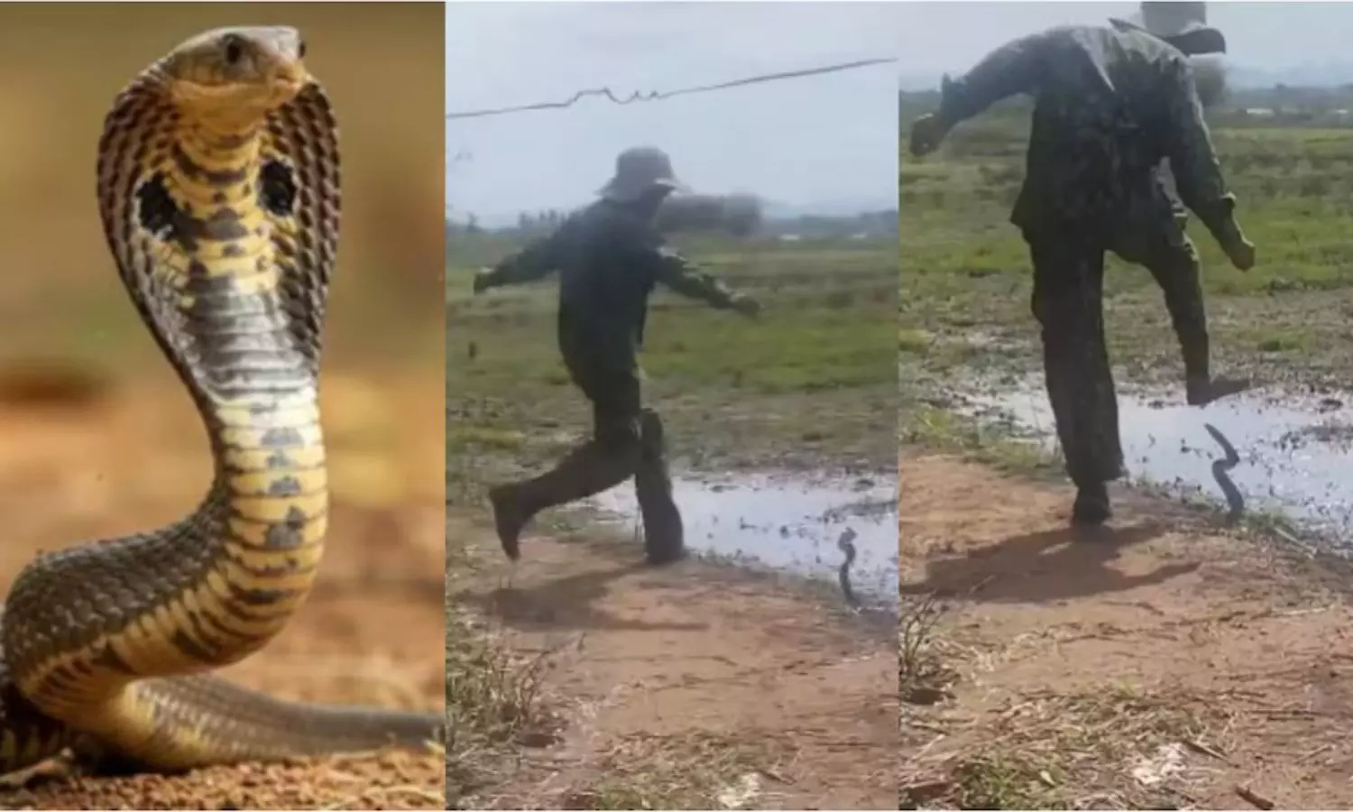 Viral Video Viral Video