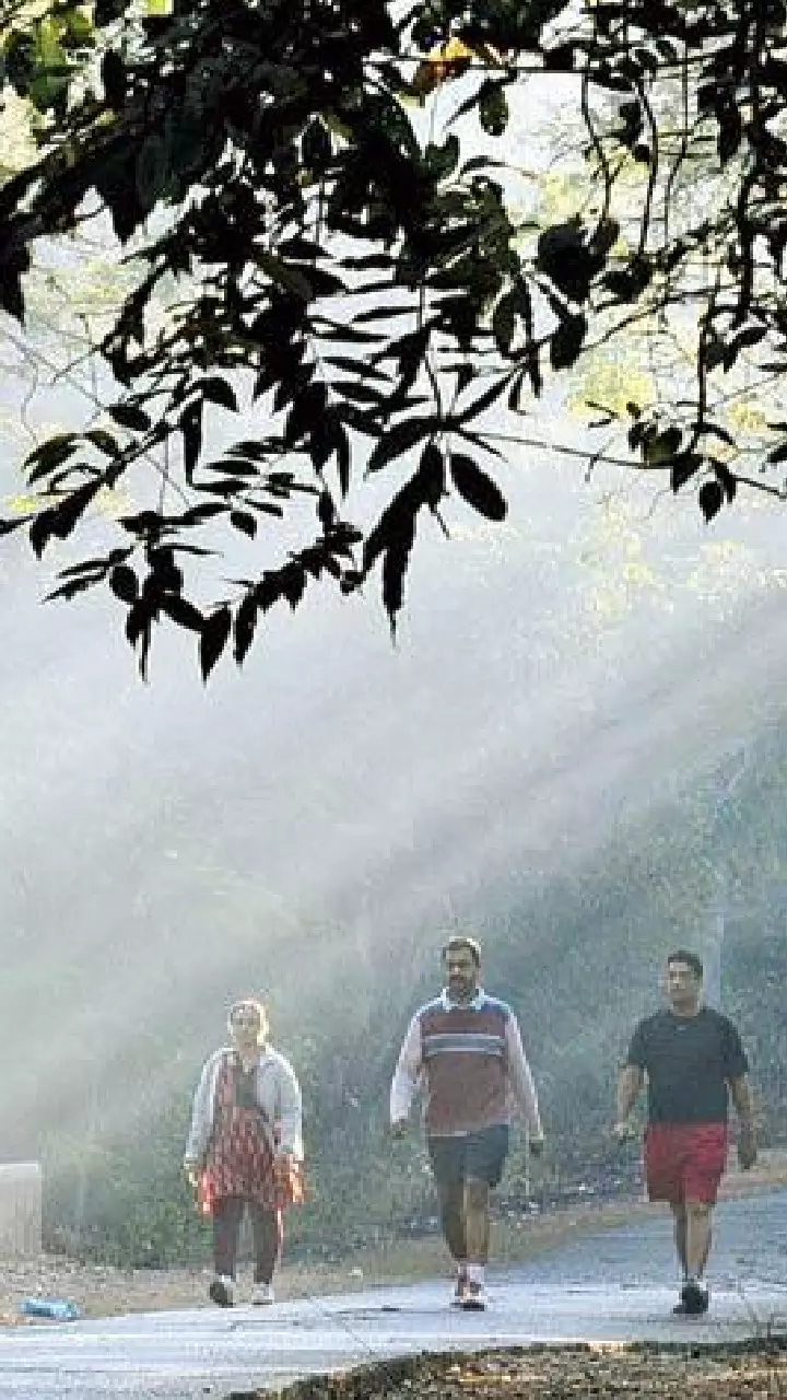 Morning Walks : ఉదయం వాకింగే ఎందుకు బెస్ట్? సైన్స్ చెబుతున్న షాకింగ్ నిజాలు ఇవే