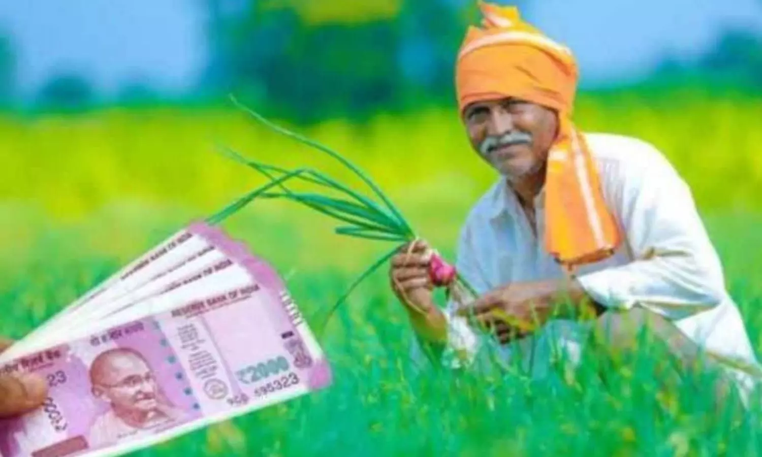 PM Kisan Alert