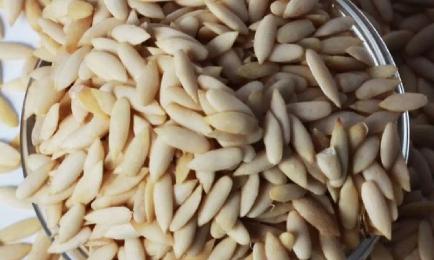Muskmelon Seeds