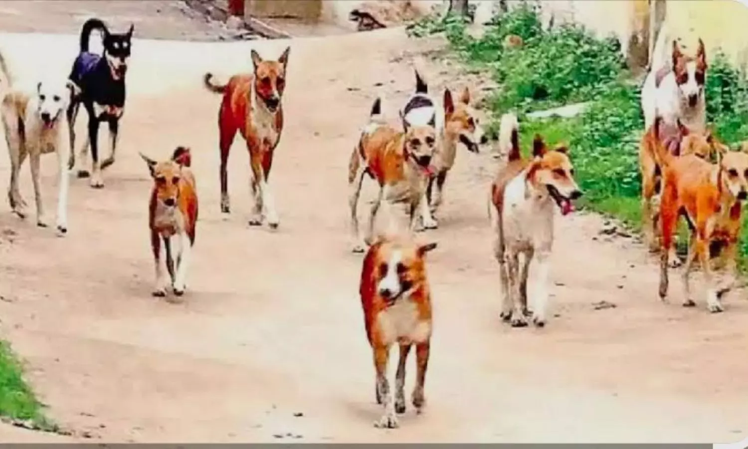 Guntakal
