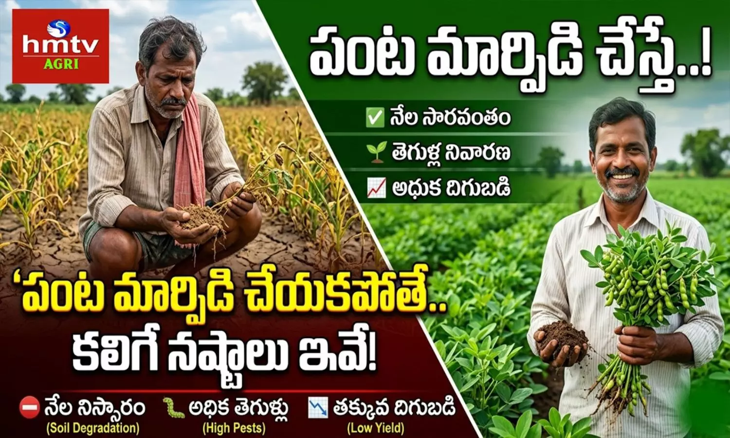 Crop Diversification