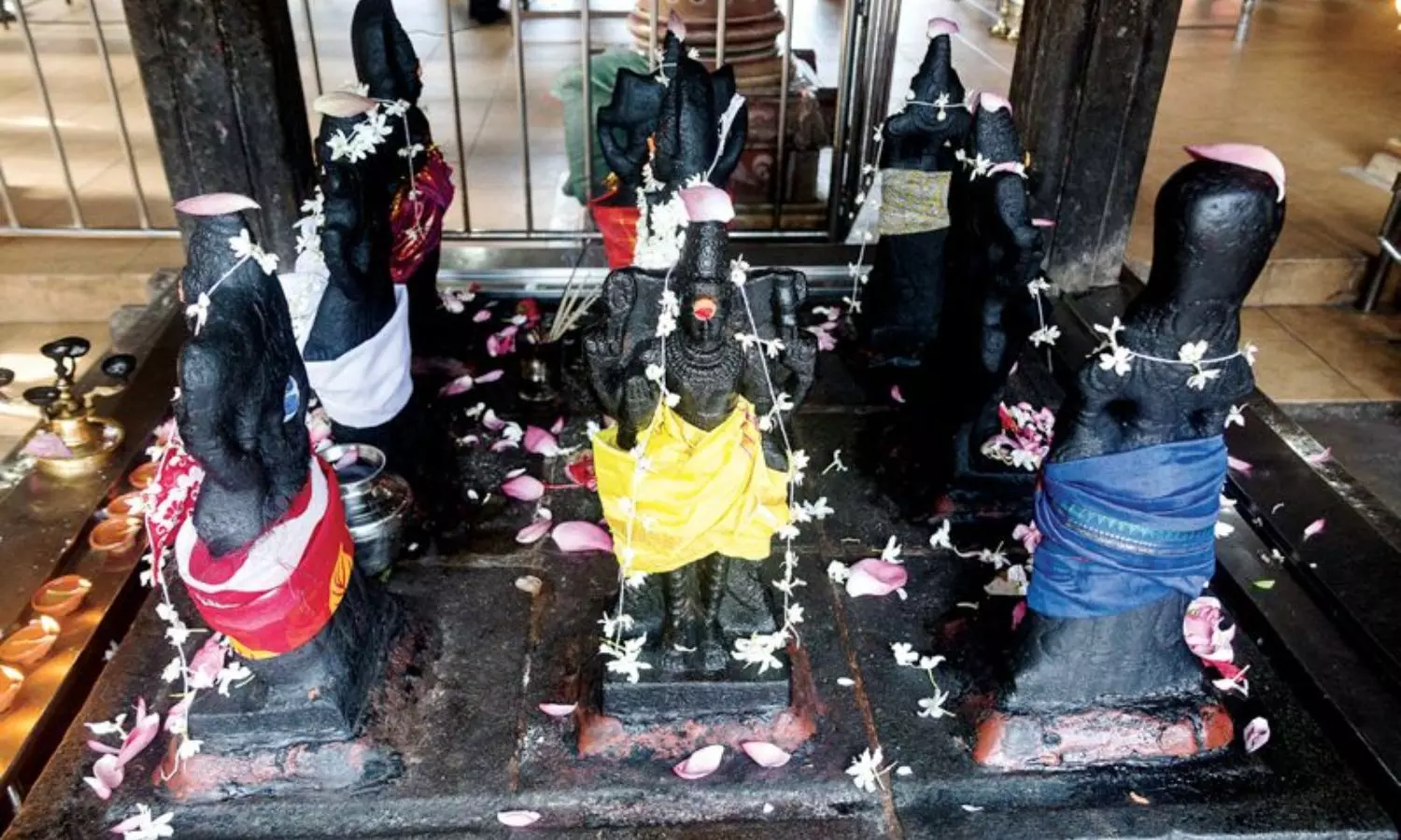 Navagraha Dosha Remedies: నవగ్రహ దోషాలకు అత్యంత సులభమైన పరిష్కారం...వీరికి సేవ చేయండి చాలు Navagraha Dosha Remedies: నవగ్రహ దోషాలకు అత్యంత సులభమైన పరిష్కారం...వీరికి సేవ చేయండి చాలు