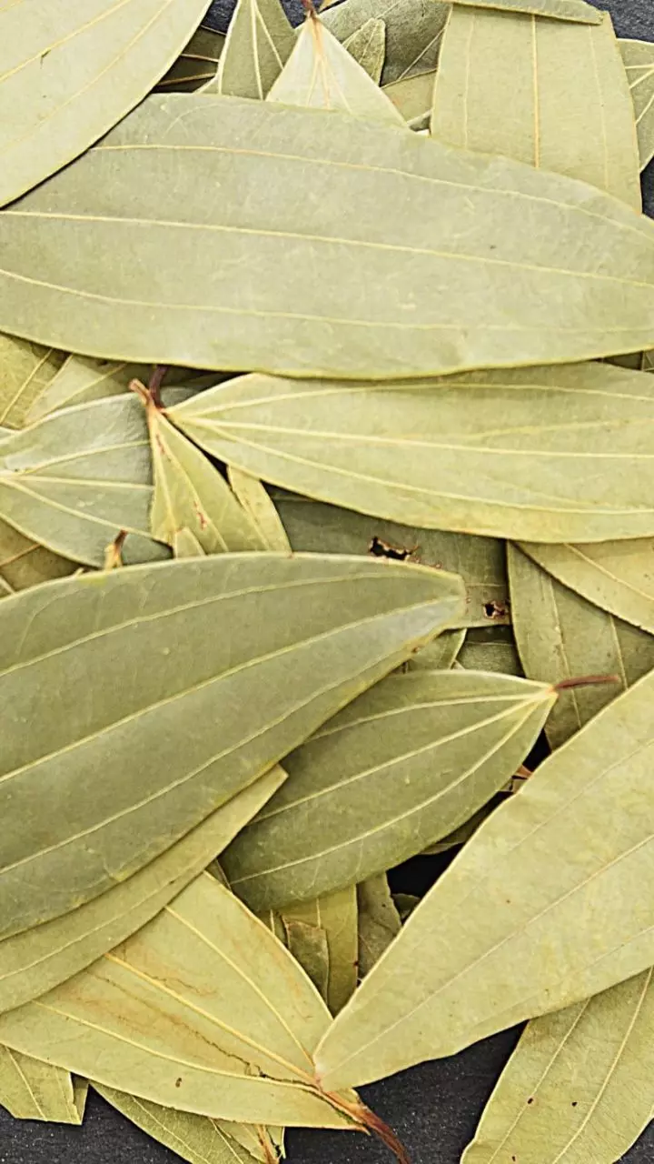 Health Tips: వంటింట్లో ఉండే బిరియాని ఆకుతో ఇన్ని లాభాలా? చలికాలం ఇన్ఫెక్షన్లకు చెక్!
