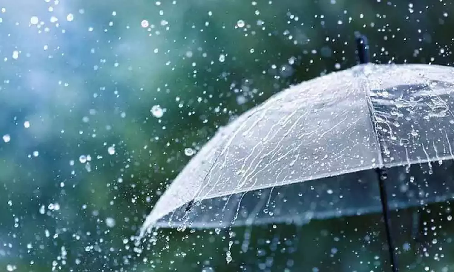 rain alert