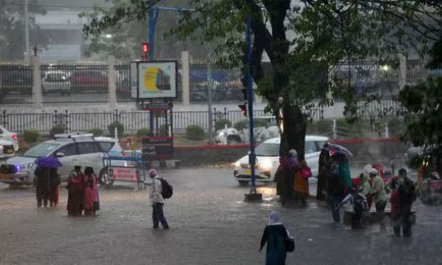 Heavy Rain Alert