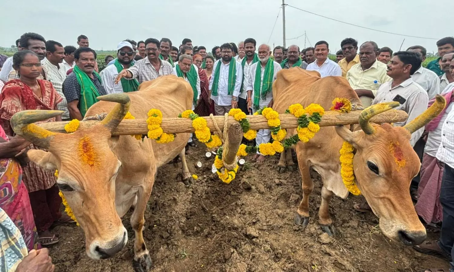 Palakonda