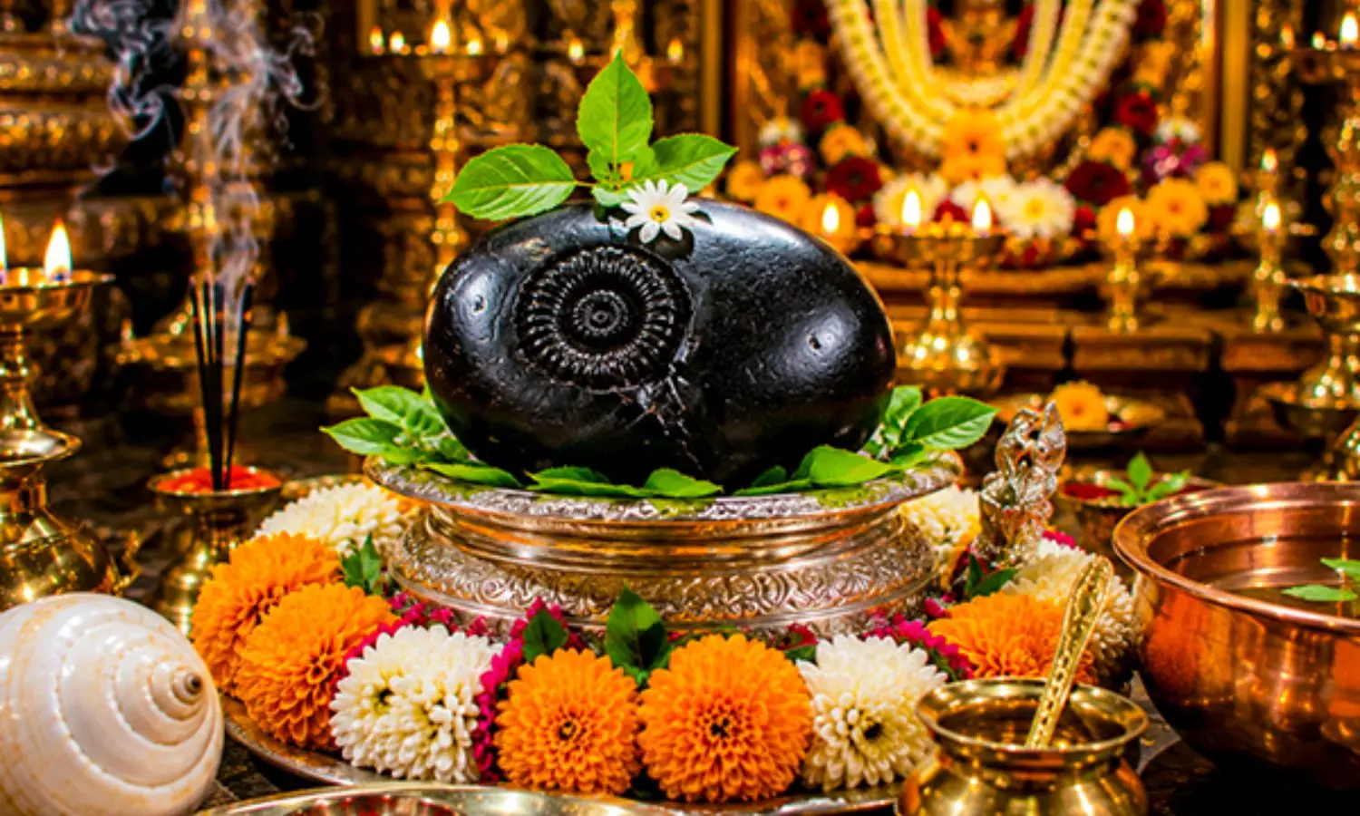 Salagrama Puja Benefits: అట్టడుగున ఉన్నవాళ్లు కూడా అదృష్టవంతులౌతారు... వీటిని ఇంట్లో పెట్టుకొని పూజించండి
