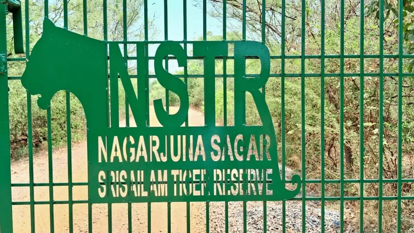 Nallamala Nallamala