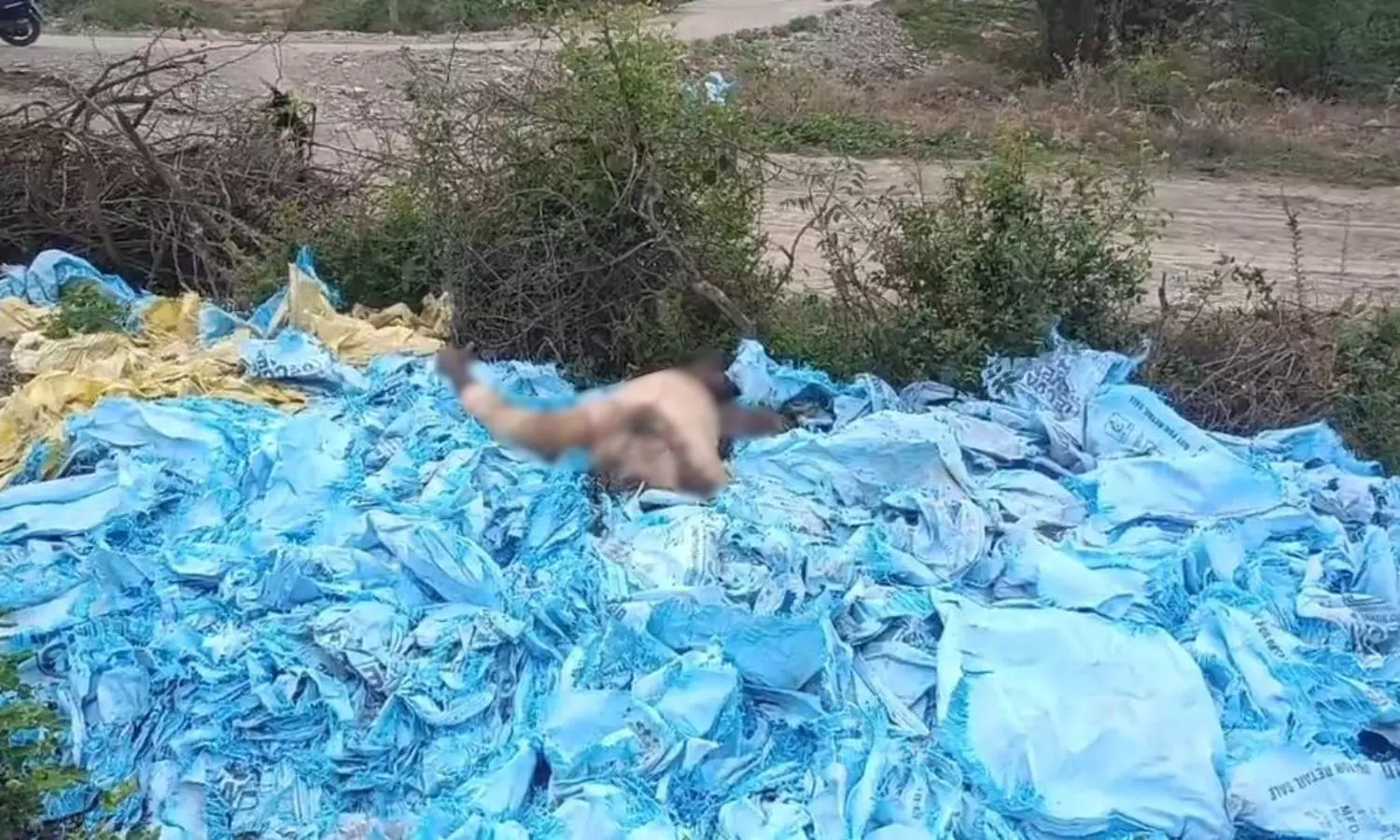 Pullalacheruvu