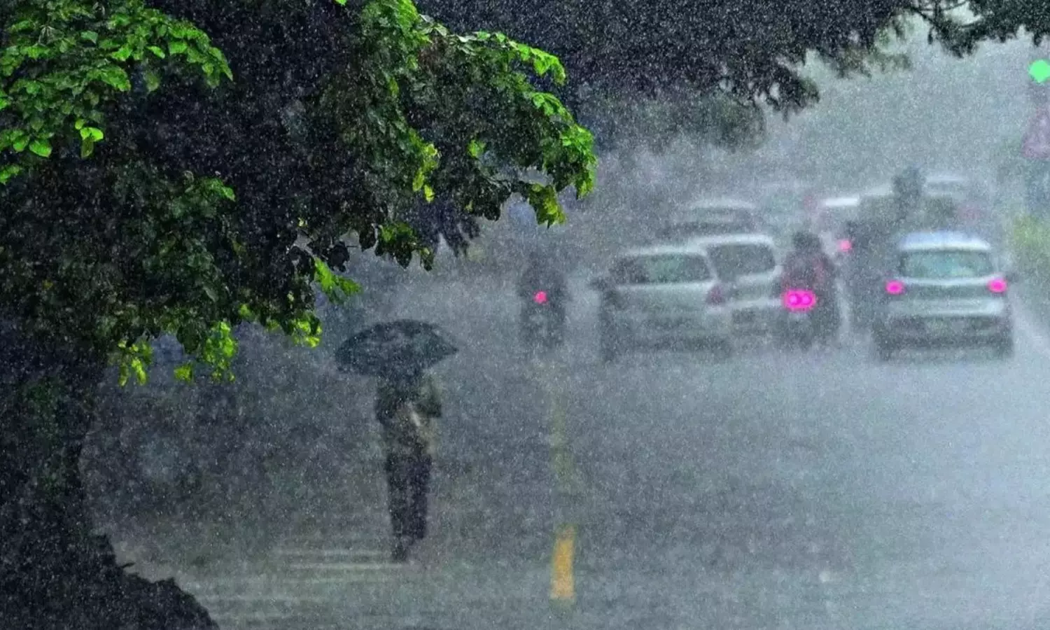 rain-alert