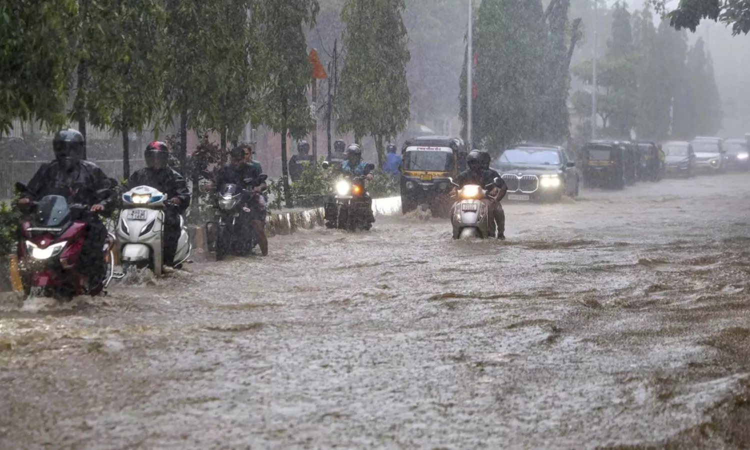 Heavy Rains Heavy Rains