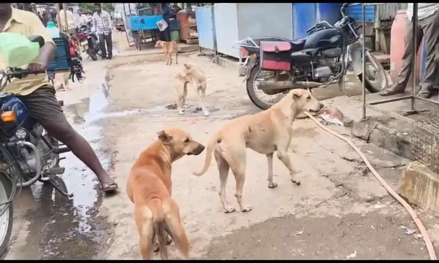 Rayadurgam Rayadurgam