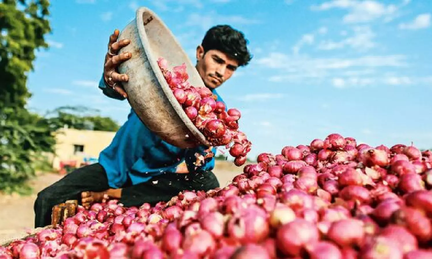 Onion Price Hike
