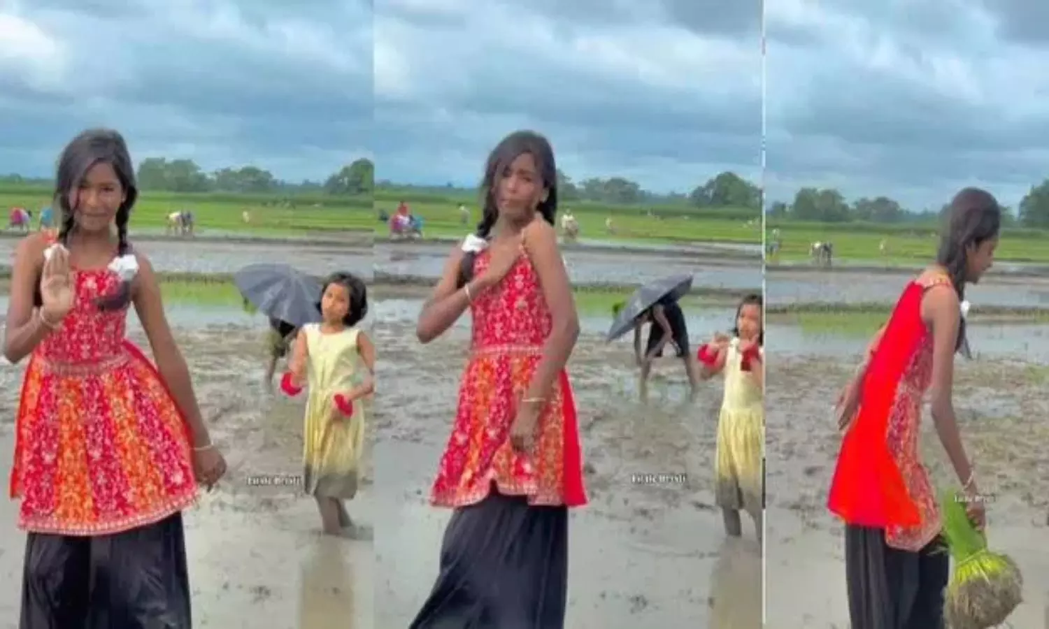 Viral Video Viral Video