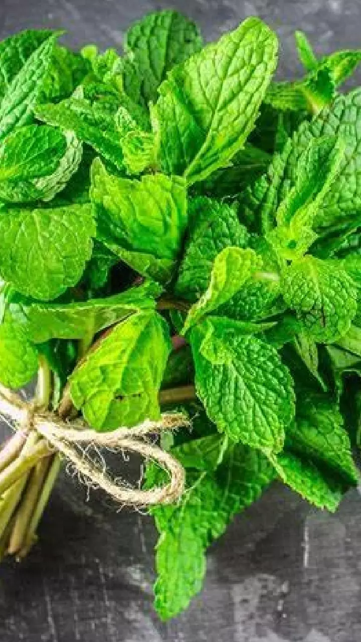 Mint : వర్షాకాలంలో పుదీనా తింటున్నారా?  ఈ షాకింగ్ నిజాలు తెలుసుకోండి