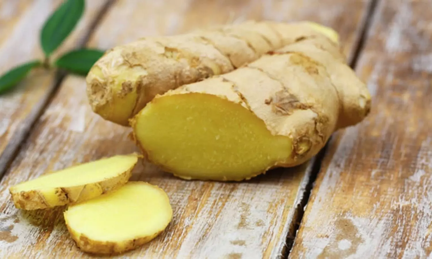 Ginger Daily Ginger Daily