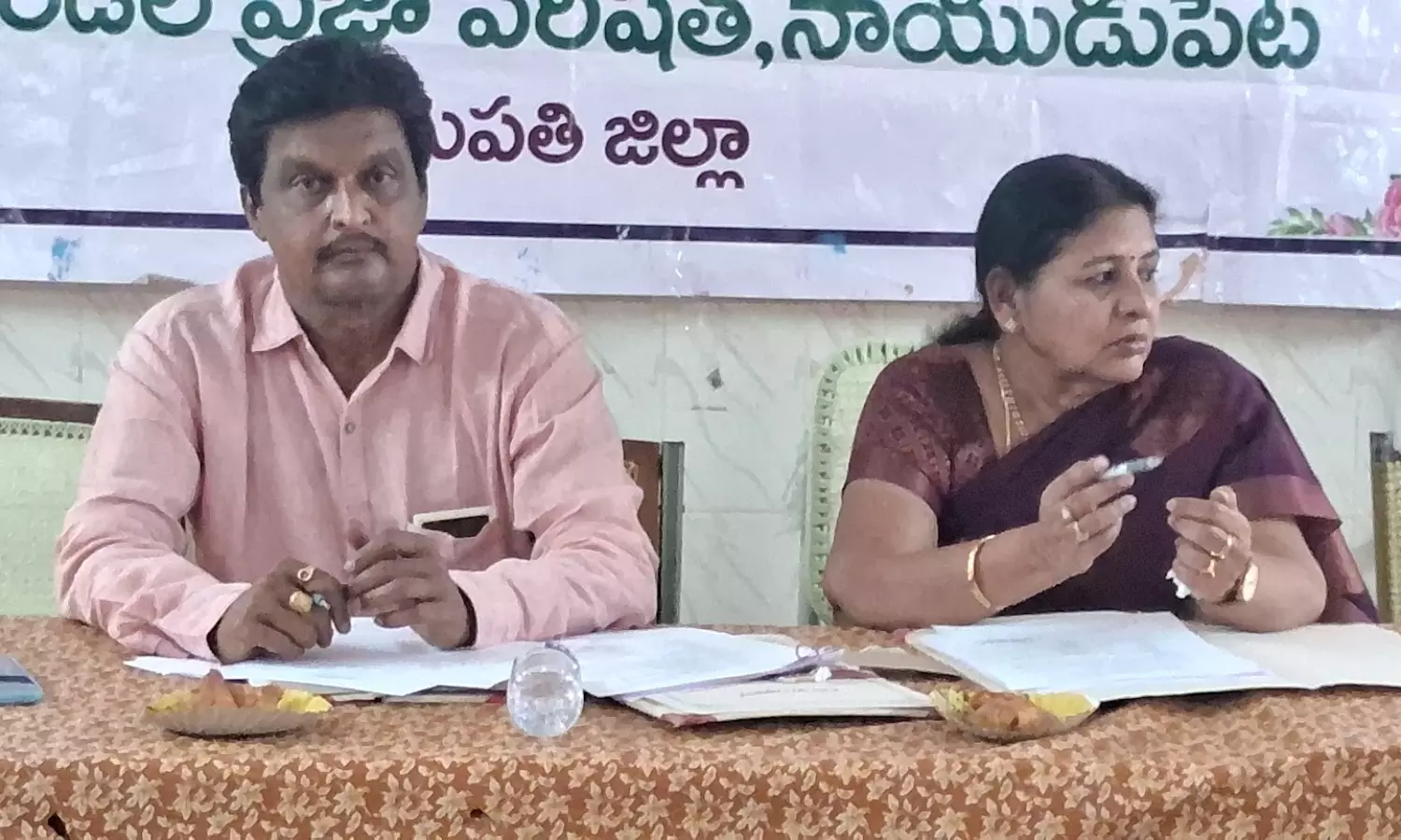 Naidupeta Naidupeta
