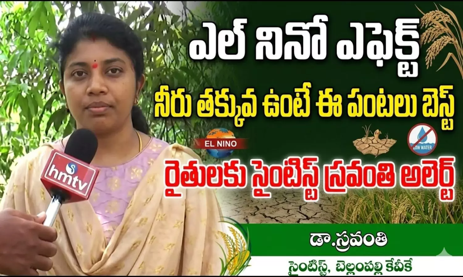 రైతులకు అలర్ట్: ఎల్ నినో ముప్పు.. తక్కువ నీటితో పండే బెస్ట్ పంటలు ఇవే!