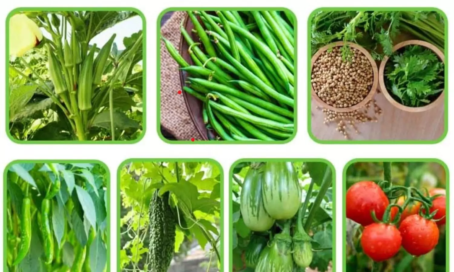 Farming