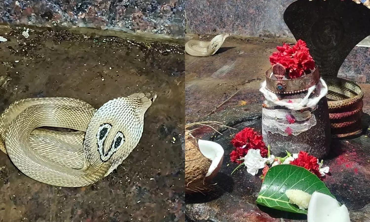 Peddapalli Peddapalli