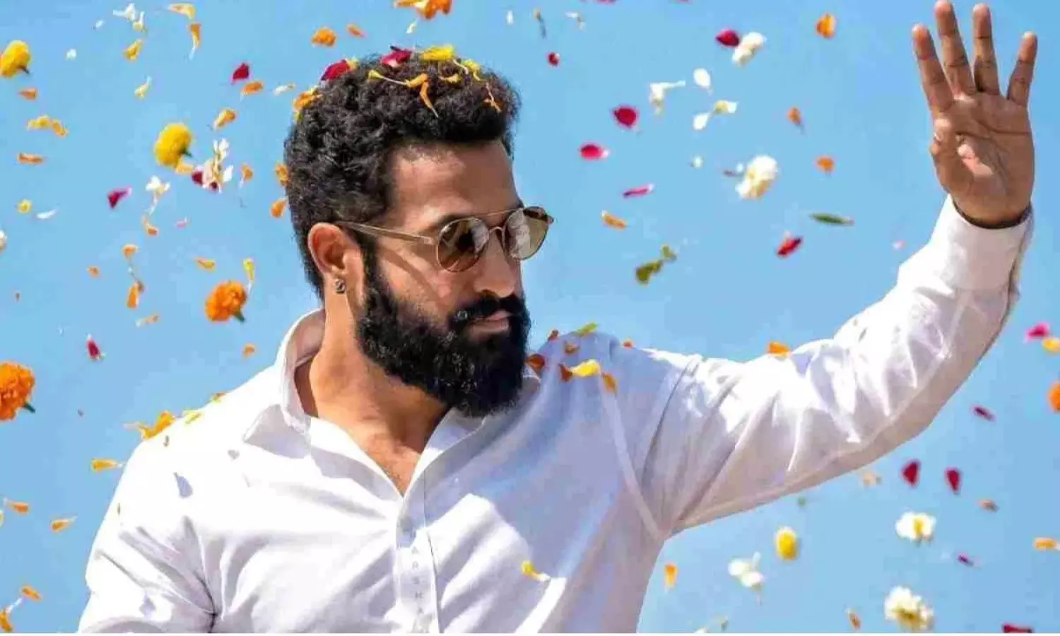 NTR Team