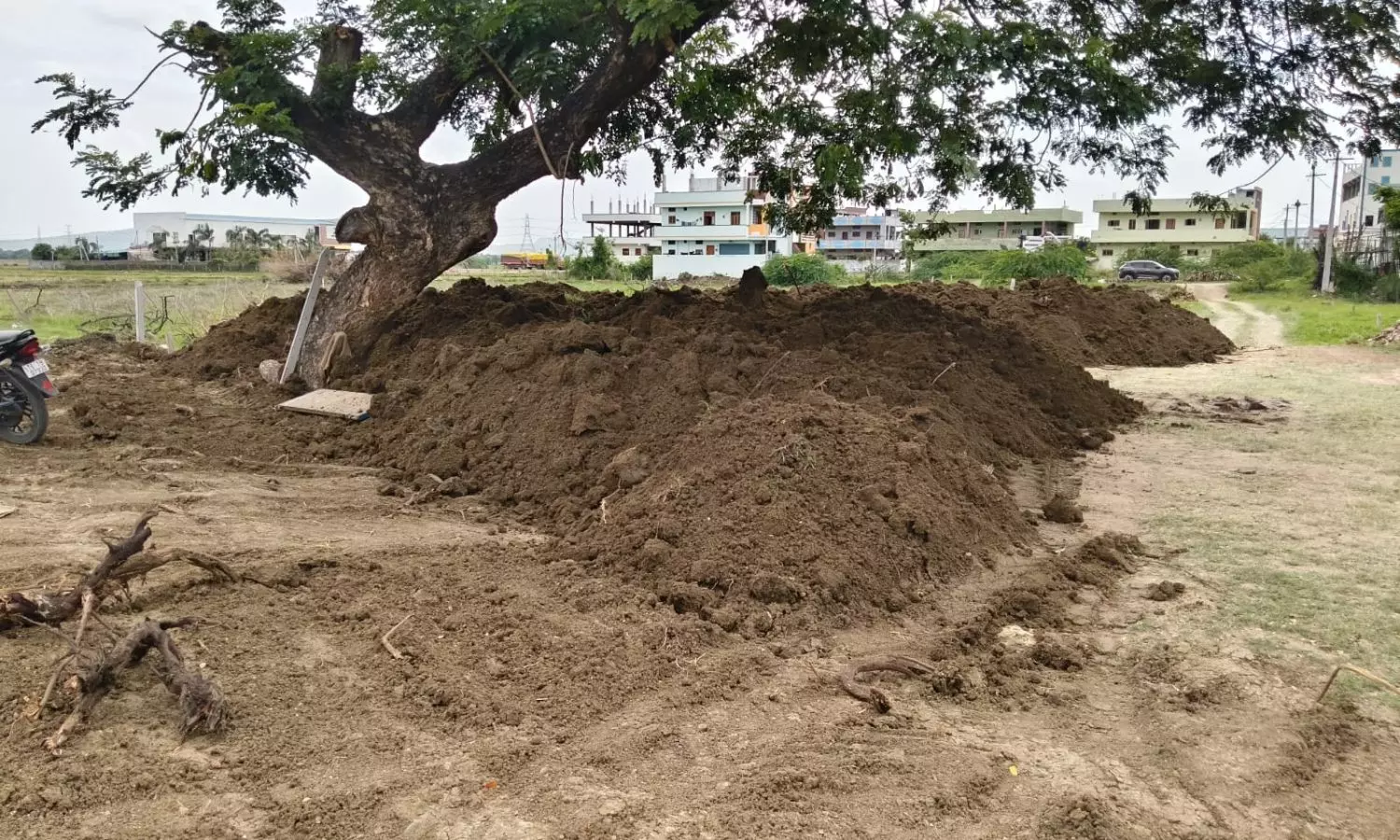 Manthani