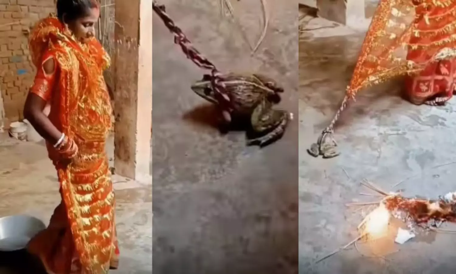 Viral Video Viral Video