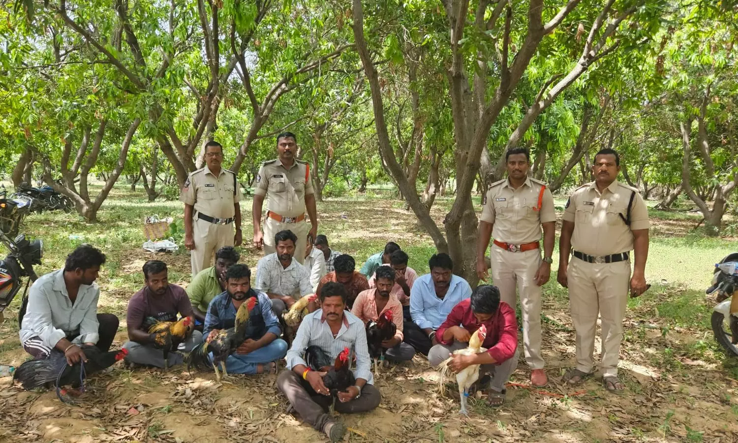 Kanchanapalli
