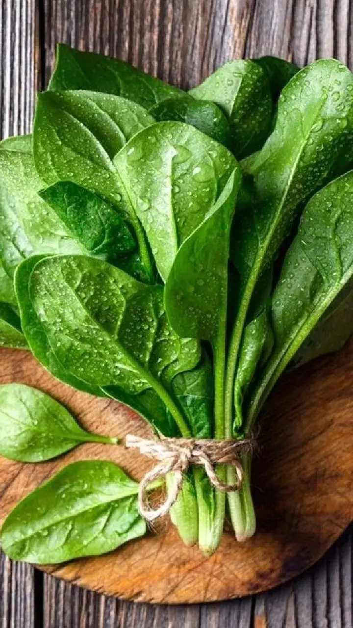 Spinach : వర్షాకాలంలో పాలకూర తింటున్నారా? ఈ షాకింగ్ విషయాలు తప్పక తెలుసుకోండి Spinach : వర్షాకాలంలో పాలకూర తింటున్నారా? ఈ షాకింగ్ విషయాలు తప్పక తెలుసుకోండి
