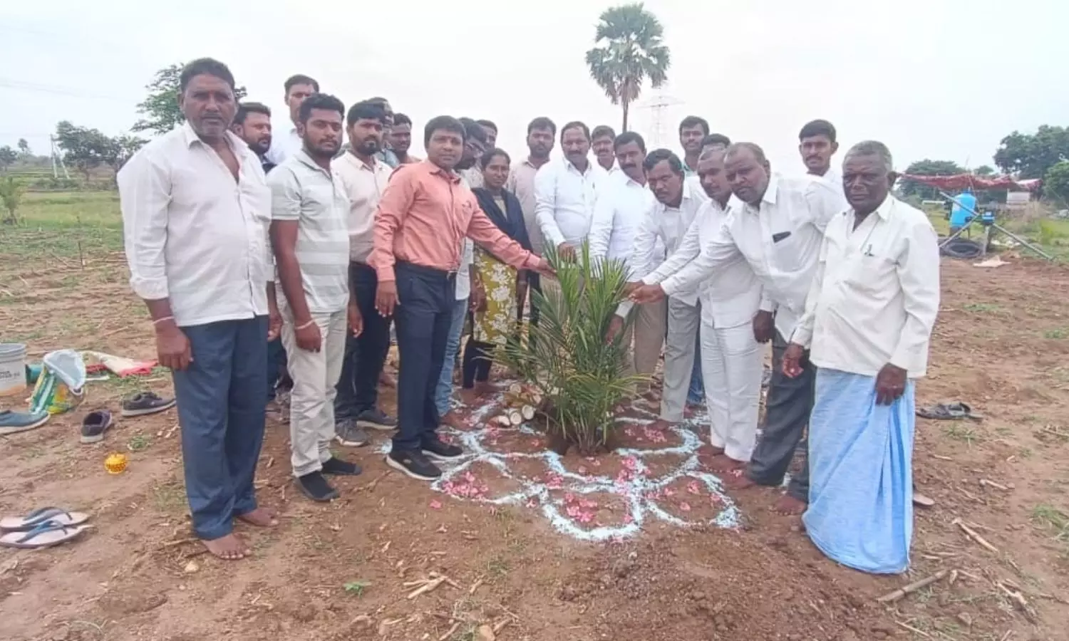 Peddapalli