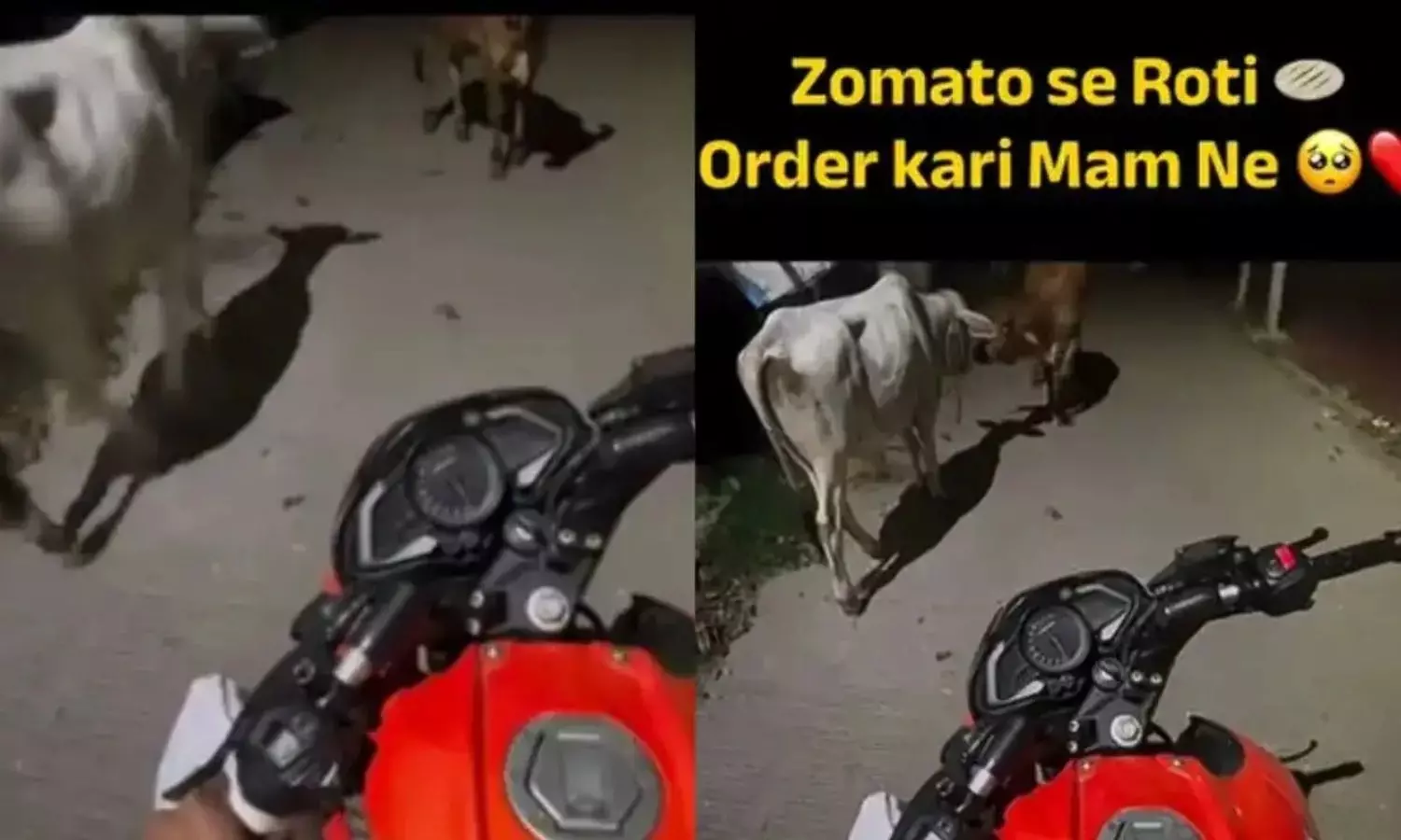Viral Video Viral Video